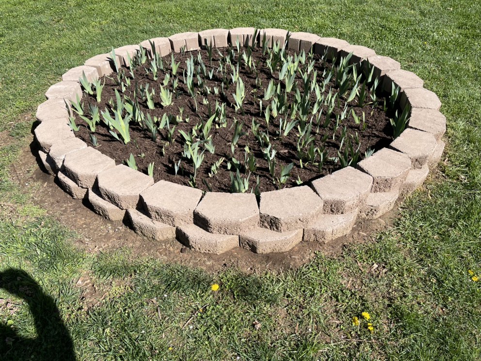 Green Thumbs Landscaping Services - veterans service organization in Yanceyville , NC