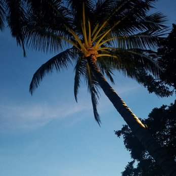 Guanabanas - Outside - Seafood Near Me - Jupiter, Florida