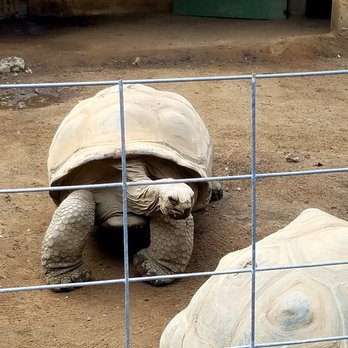Central Coast Zoo - Zoos Near Me - Atascadero, California Central Coast Zoo - Zoos Near Me - Atascadero, California