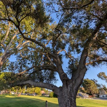 Four Oaks Park - Park - Parks Near Me - San Juan Capistrano, California Four Oaks Park - Park - Parks Near Me - San Juan Capistrano, California