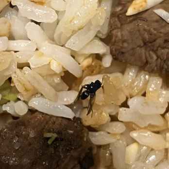 Chipotle Mexican Grill - Fly - Fast Food Near Me - Johnstown, Pennsylvania Chipotle Mexican Grill - Fly - Fast Food Near Me - Johnstown, Pennsylvania