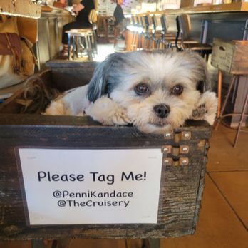 The Cruisery - The Crusiery pup! - Cocktail Bars Near Me - Santa Barbara, California