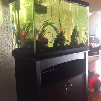 Brothers Aquatics - Aquarium Services Near Me Brothers Aquatics - Aquarium Services Near Me