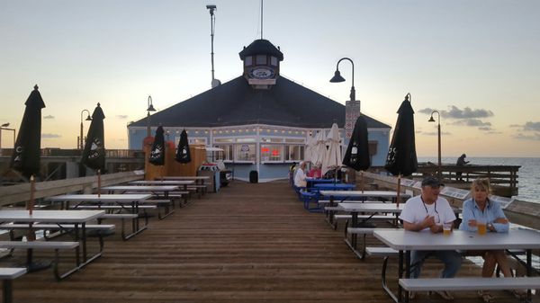 The Tin Fish by null