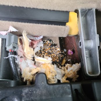 Hooze 4 X 4 - There was a rats nest in the truck when I got it back. - Tires Near Me - Ham Lake, Minnesota