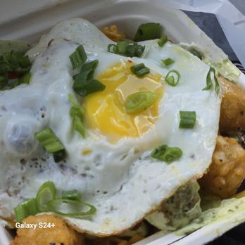 Velvet Taco - Tator tots!! - Tacos Near Me - Webster, Texas Velvet Taco - Tator tots!! - Tacos Near Me - Webster, Texas