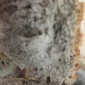 Fancy Wheatfield Bakery - Bakeries Near Me - San Francisco, California