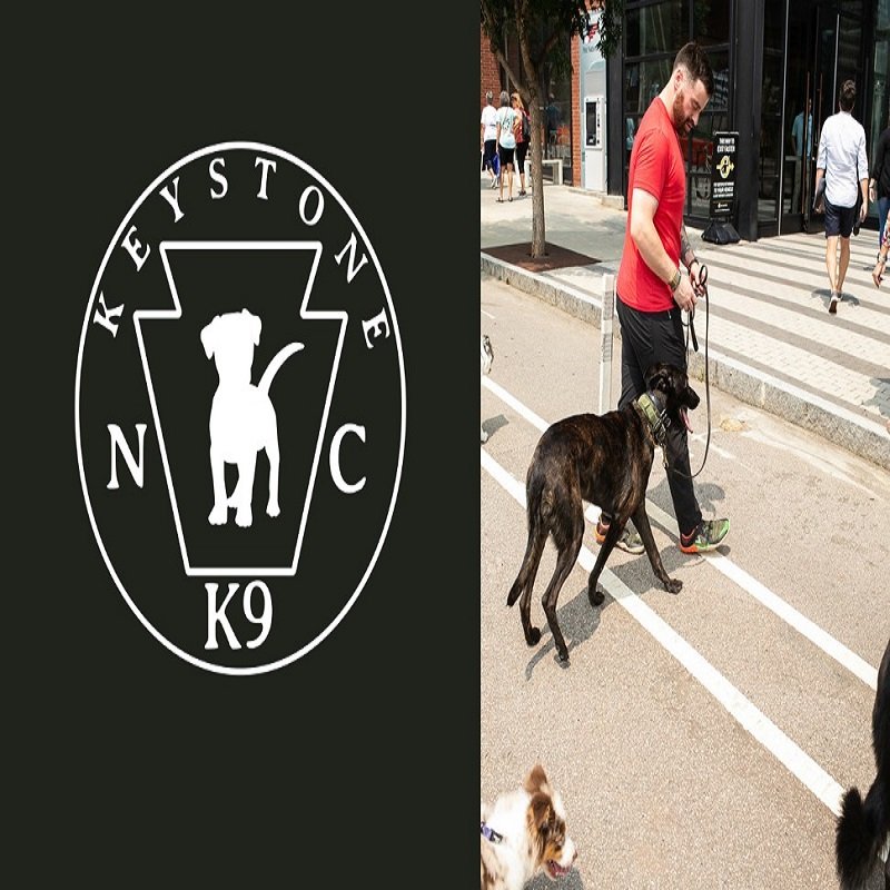 Keystone K9 - pet boarding facility in Cary, NC