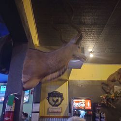 Rusty Spur Steakhouse And Saloon - Lots of taxidermy in this restaurant!