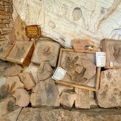 Moqui Cave - Dinosaur tracks