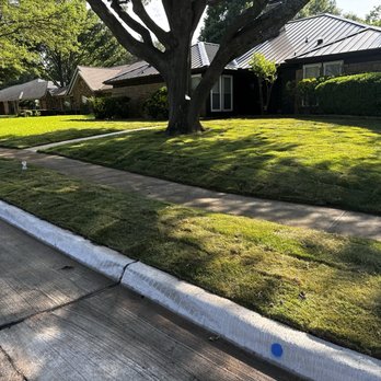 Augusto's Property Care - Freshly installed zoysia sod. - Landscaping Near Me Augusto's Property Care - Freshly installed zoysia sod. - Landscaping Near Me