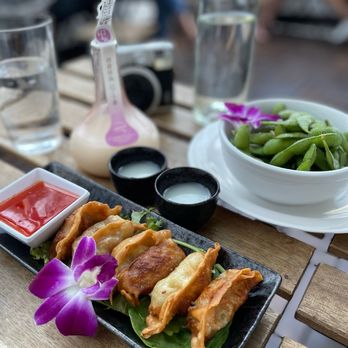 The Sushi Samurai - Aladdin unfiltered sake bottle, Gyoza, and Edamame - Sushi Bars Near Me - Seattle, Washington