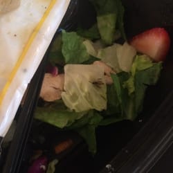 Chick-fil-A - Yum....not!