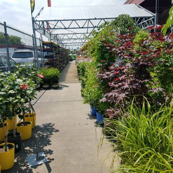 A Visconti Inc - Nurseries & Gardening Near Me - Brooklyn, New York