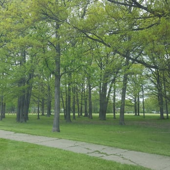 Balduck Park - This is the Woody side of the park by the soccer field - Parks Near Me - Detroit, Michigan Balduck Park - This is the Woody side of the park by the soccer field - Parks Near Me - Detroit, Michigan