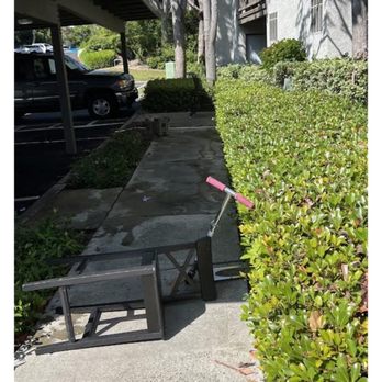 Pointe Niguel Apartments - Trash and a shopping cart left out - Apartments Near Me - Laguna Niguel, California Pointe Niguel Apartments - Trash and a shopping cart left out - Apartments Near Me - Laguna Niguel, California