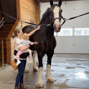 Express Clydesdales - Topper! - Attraction Farms Near Me - Yukon, Oklahoma