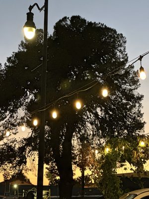 Chapman Crafted Beer by null