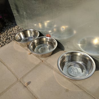 Fajitas A Go Go - They got doggie bowls in the patio. I'm guessing the patio is dog friendly? - Tex-Mex Near Me - Houston, Texas