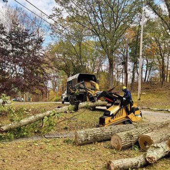 Bizee Bee Tree Service - Tree Services Near Me - Mahopac, New York