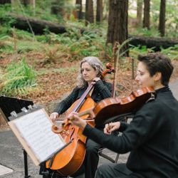 Bay Area Strings - Bay Area Strings String Trio - photo credit nvysotskaya.com