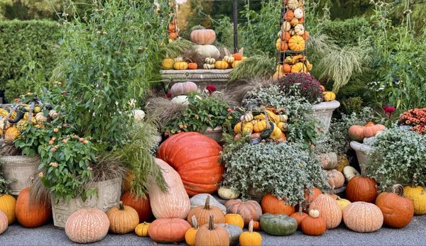 Longwood Gardens by null Longwood Gardens by null