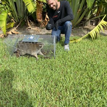 SureShot Pest Solutions - Wildlife control - Pest Control Near Me - Deerfield Beach, Florida SureShot Pest Solutions - Wildlife control - Pest Control Near Me - Deerfield Beach, Florida