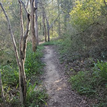 Lockhart State Park - October found most of the CCC and Chisolm trails very well shaded - Parks Near Me - Lockhart, Texas Lockhart State Park - October found most of the CCC and Chisolm trails very well shaded - Parks Near Me - Lockhart, Texas