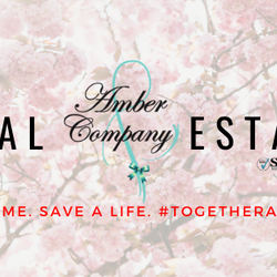 Amber & Company Real Estate