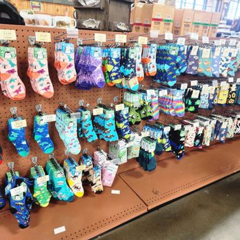 Green Top Hunt Fish - Hunting & Fishing Supplies Near Me - Ashland, Virginia Green Top Hunt Fish - Hunting & Fishing Supplies Near Me - Ashland, Virginia