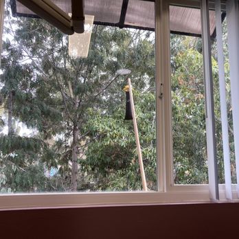 Philip Bradford, DDS - Inside the office! Cute birds and a nice view of trees! - General Dentistry Near Me