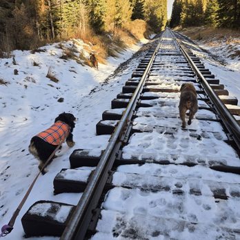 Paws and Claws Kennel - Pet Boarding Near Me - Joseph, Oregon