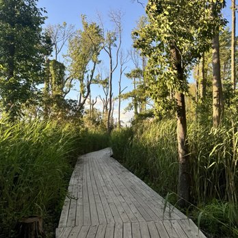 Terrapin Nature Park - Parks Near Me - Stevensville, Maryland