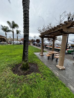 Evergreen Farmers' Market by null