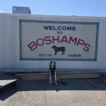 Boshamps Oyster House - Cajun/Creole Near Me - Destin, Florida Boshamps Oyster House - Cajun/Creole Near Me - Destin, Florida