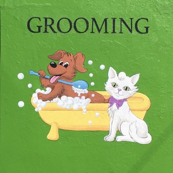 Wonderful Pets Grooming - Pet Groomers Near Me - Bound Brook, New Jersey Wonderful Pets Grooming - Pet Groomers Near Me - Bound Brook, New Jersey