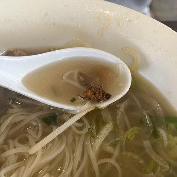 Pho Thanh - Do you see? - Vietnamese Near Me - Westminster, California Pho Thanh - Do you see? - Vietnamese Near Me - Westminster, California