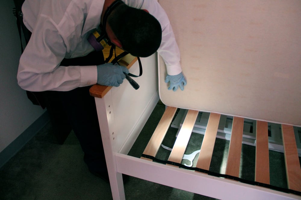 COLORADO PEST MANAGEMENT Updated October 2024 22 Photos 355