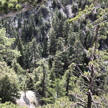 Ziplines at Pacific Crest - View From The Platform - Ziplining Near Me - Wrightwood, California