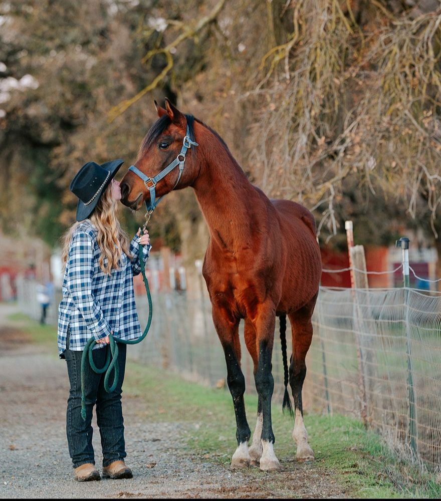 Saddle Up Sactown  - equestrian in Sacramento, CA