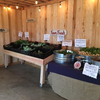 Working Hands Farm - a variety of vegetables on display - CSA Near Me - Hillsboro, Oregon Working Hands Farm - a variety of vegetables on display - CSA Near Me - Hillsboro, Oregon