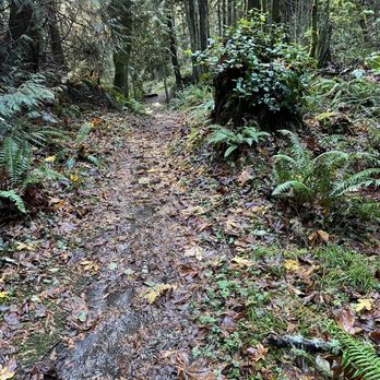 sugarloaf - Water flowing on the trail.. awesome - Hiking Near Me - Oak Harbor, Washington sugarloaf - Water flowing on the trail.. awesome - Hiking Near Me - Oak Harbor, Washington