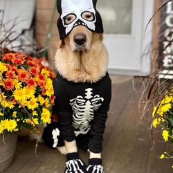 Doggie Depot