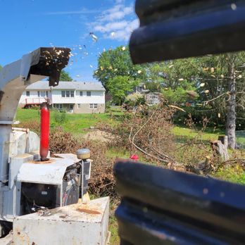 Shawn's Tree Care - Tree Services Near Me Shawn's Tree Care - Tree Services Near Me
