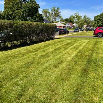 TnF Landscaping - a freshly mowed lawn - Lawn Services Near Me TnF Landscaping - a freshly mowed lawn - Lawn Services Near Me