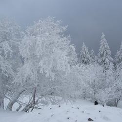 Kleiner Feldberg
