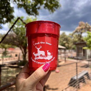 Grand Canyon Deer Farm - Large cup of feed - Zoos Near Me - Williams, Arizona Grand Canyon Deer Farm - Large cup of feed - Zoos Near Me - Williams, Arizona