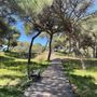 Photo of Camino Natural de Rota