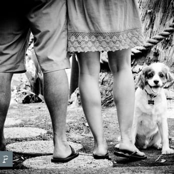 Lily Chan Photography - Culver City, CA - Photographers Near Me Lily Chan Photography - Culver City, CA - Photographers Near Me