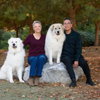 Pet Charm Photography - Pet Photography Near Me Pet Charm Photography - Pet Photography Near Me